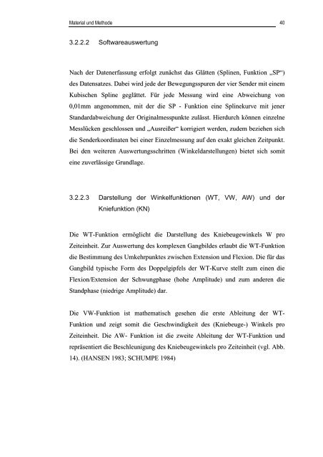 Dissertation Matthias Schuhmacher