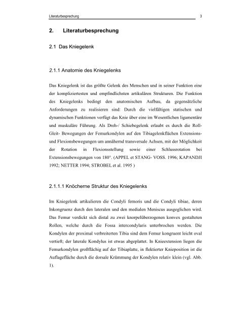 Dissertation Matthias Schuhmacher