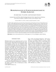 MICROPROPAGATION OF OCIMUM KILIMANDSCHARICUM ...