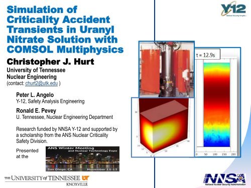 Simulation of Criticality Accident Transients in Uranyl Nitrate ...