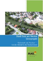 Sulz aN - Stadt Sulz