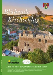 downloaden - Stadtgemeinde Kirchschlag in der Buckligen Welt