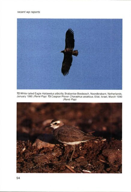 1990-2 - Dutch Birding
