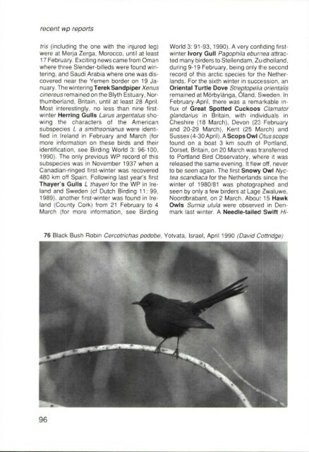 1990-2 - Dutch Birding