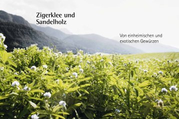 Zigerklee und Sandelholz - Tagora