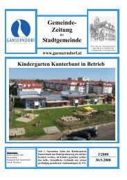 Ausgabe 2008/3 - Stadtgemeinde Gänserndorf