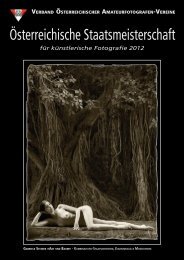 für künstlerische Fotografie 2012 - Die Fotosektion des SK VÖEST