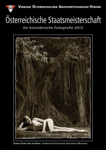 für künstlerische Fotografie 2012 - Die Fotosektion des SK VÖEST