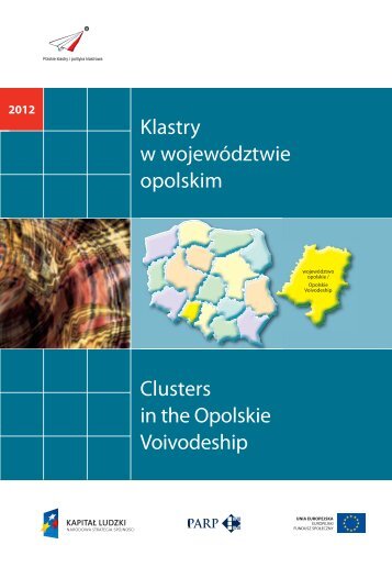 Klastry w województwie opolskim Clusters in the ... - Portal Innowacji