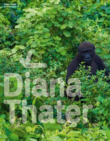 Diana Thater gorillagorillagorilla - Universalmuseum Joanneum