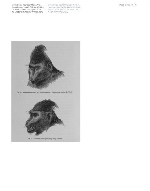 Diana Thater gorillagorillagorilla - Universalmuseum Joanneum