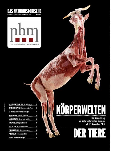 KÖRPERWELTEN DER TIERE - Naturhistorisches Museum Wien