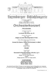 Orchesterkonzert - in Laxenburg