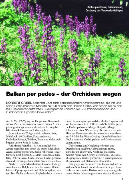 Aus Laelia wird Chironella Orchideenwandern am Balkan