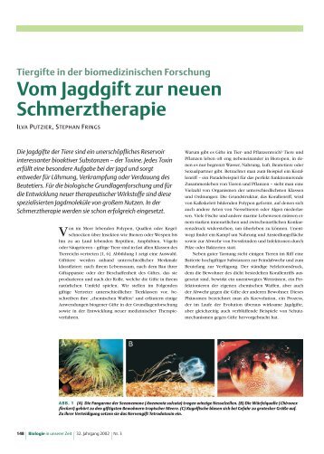 Vom Jagdgift zur neuen Schmerztherapie - Molekulare Physiologie