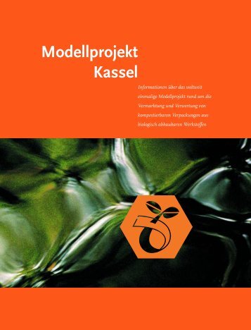 Modellprojekt Kassel