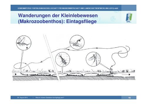 Vortrag 1_Durchgängigkeit_Paulus | PDF 7,5 MB