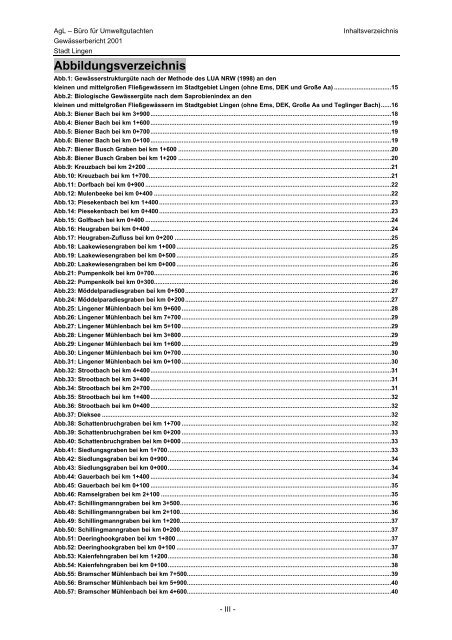 Gewässergütebericht 2001 - Stadt Lingen