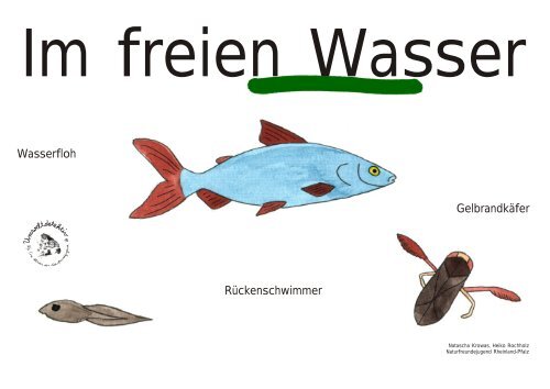 Wasserfloh Gelbrandkäfer Rückenschwimmer - Naturfreundejugend ...