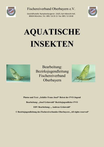 Eintagsfliege - Fischereiverband Oberbayern e.V.