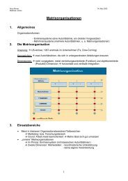 Matrixorganisationen - Organisation Sanierung