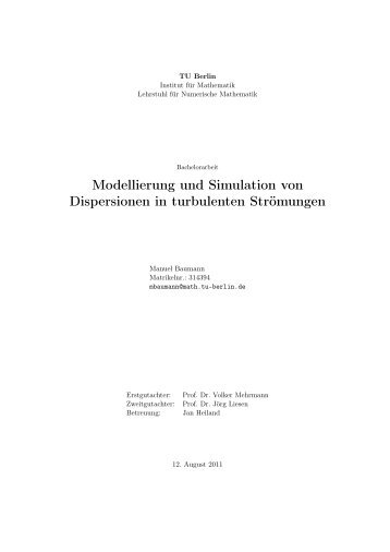 Modellierung und Simulation von Dispersionen in turbulenten ...