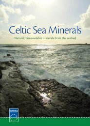 CSM Corporate 6pp - Celtic Sea Minerals