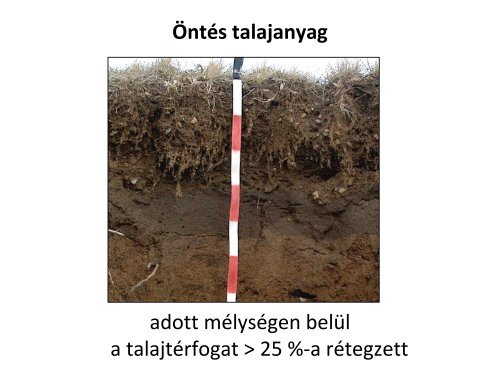 11. óra WRB.pdf