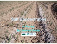 Salt Concentration - New Mexico NRCS - US Department of ...