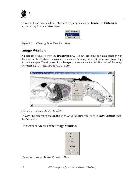 AIDA Image Analyzer for Windows User's Manual - Raytest