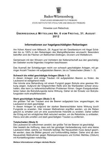 Rebschutzhinweis Nr. 6 2012