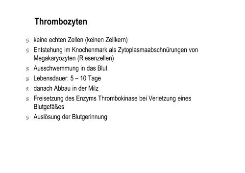 Organsysteme 2