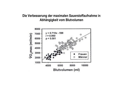 Organsysteme 2