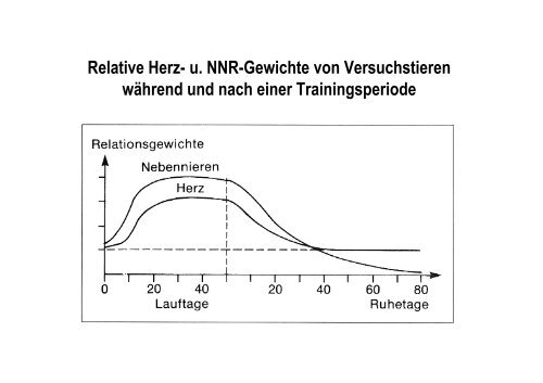 Organsysteme 2