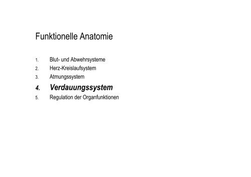 Organsysteme 2