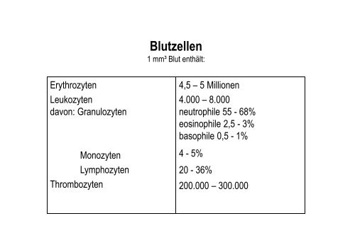 Organsysteme 2