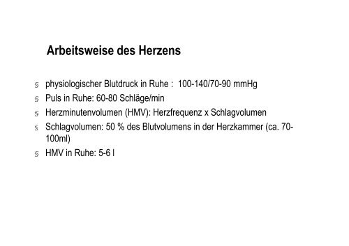 Organsysteme 2