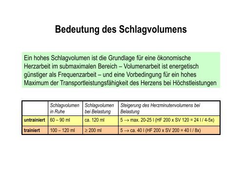 Organsysteme 2