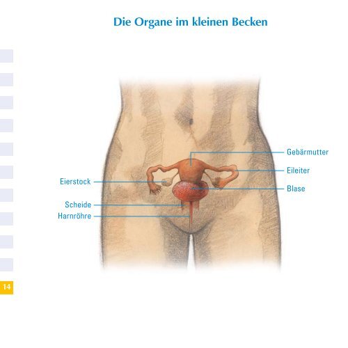 Das Hängemattenprinzip - Dr. med. Ilie Bumbu