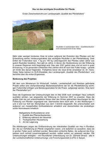 Qualität des Pferdefutters - Heu.pdf - (DLR) Westpfalz