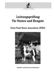Leistungsprüfung Für Stuten und Hengste - Swiss Paint Horse ...