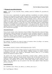 ANEMIAS Prof. Dr. Roberto Passetto Falcão A) Resumos de casos ...