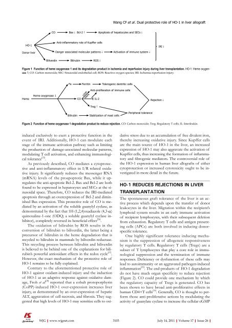 26 - World Journal of Gastroenterology