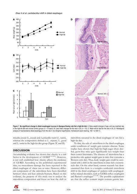 26 - World Journal of Gastroenterology