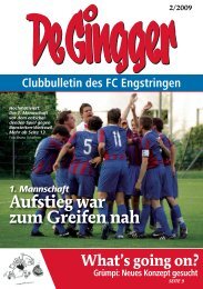 Neues Konzept gesucht - FC Engstringen