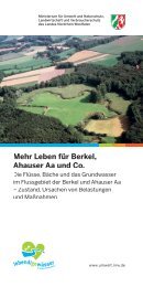 Mehr Leben für Berkel, Ahauser Aa und Co. - Flussgebiete in NRW