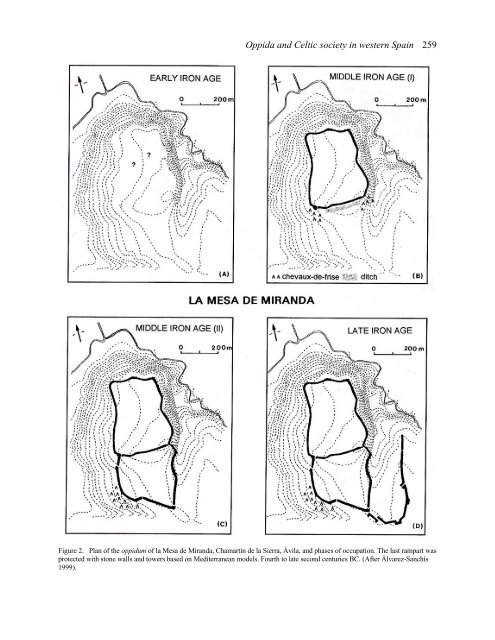 Oppida and Celtic society in western Spain