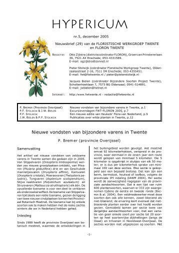 hypericum 5 - FLORON Twente