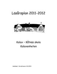 Läsårsplan 2011-2012 - Närpes stad