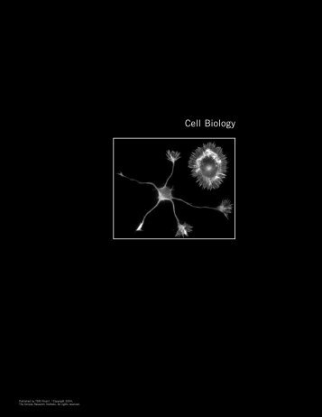 Cell Biology - The Scripps Research Institute
